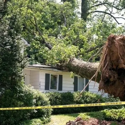 Storm Damage Repair Services in Charlotte, NC